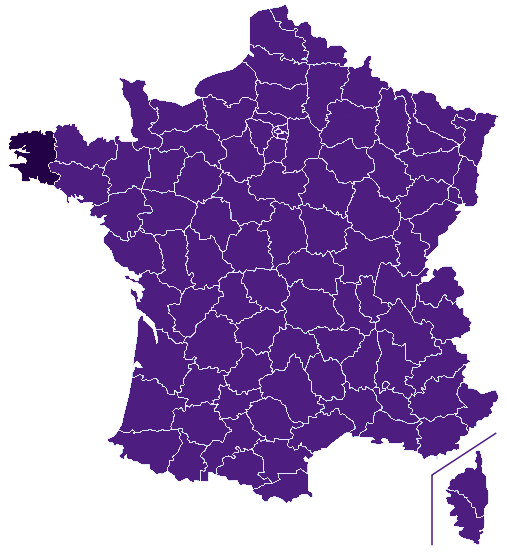 Fleuriste Finistère