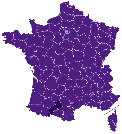 Fleuriste Haute-Garonne