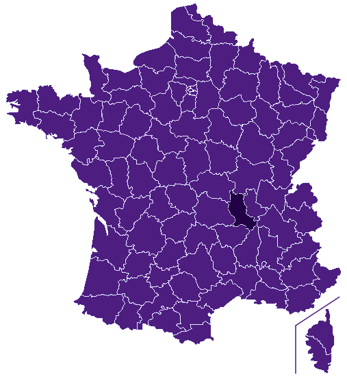 Fleuriste Loire