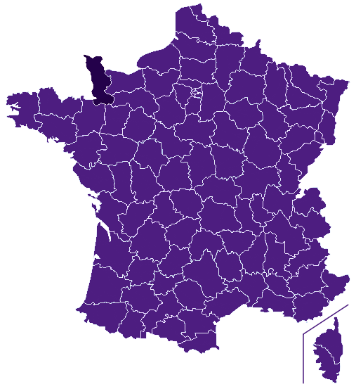 Fleuriste Manche