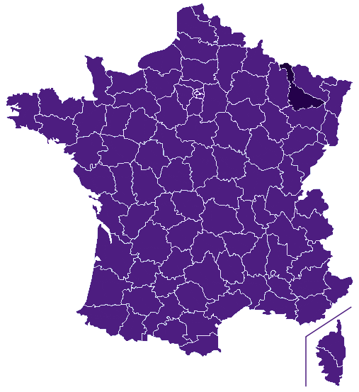 Fleuriste Meurthe-et-Moselle