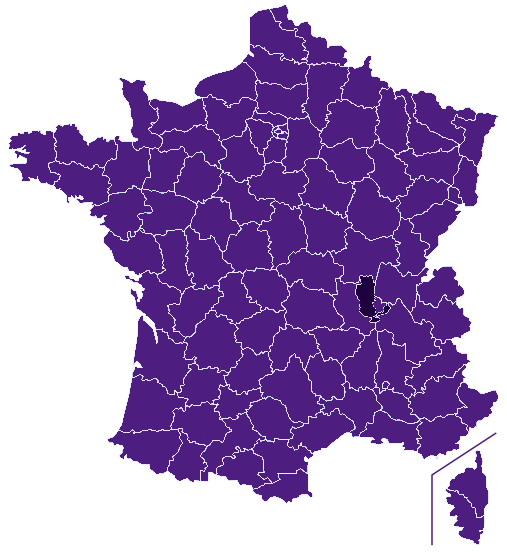 Fleuriste Rhône