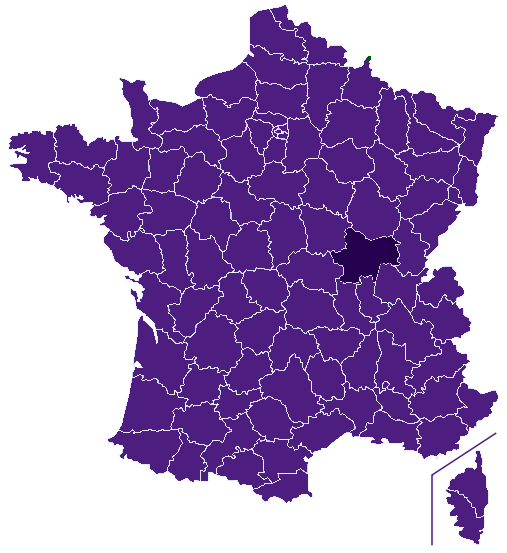 Fleuriste Saône-et-Loire