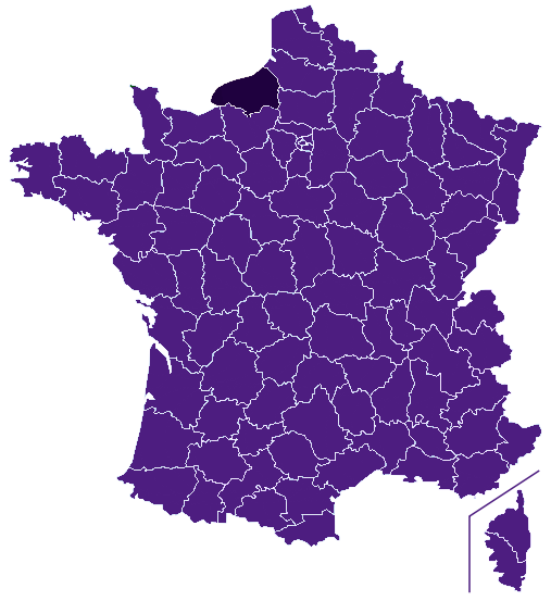 Fleuriste Seine-Maritime