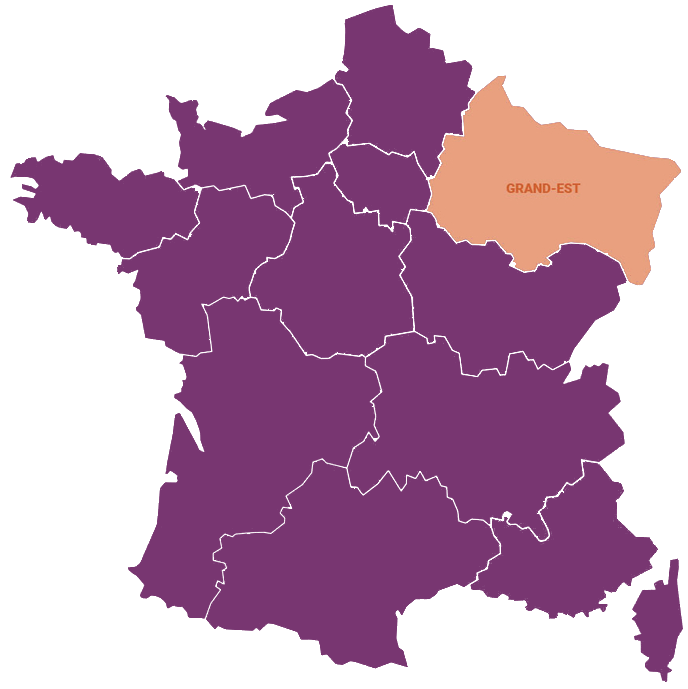 Fleuriste Grand Est