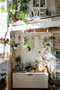 Les plantes d&rsquo;intérieur purifiantes sont un excellent moyen d&rsquo;améliorer la qualité de l&rsquo;air dans votre maison tout en ajoutant une touche de verdure à votre décoration. En plus de leur aspect esthétique, ces plantes sont connues pour leurs propriétés dépolluantes [&hellip;]