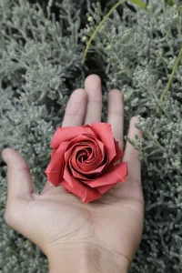 Depuis des siècles, les créations florales en papier crépon se sont développées comme un art populaire, permettant aux artistes de créer des bouquets éblouissants et durables. Les origines de cet art remontent à la Chine ancienne, où on utilisait le [&hellip;]