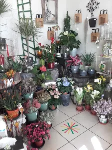 Le jardin d &lsquo;Elise à 19 Route de Poitiers 86340, Roches-Prémarie-Andillé