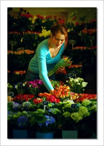 L&rsquo;anémone, également connue sous le nom de Fleur des Vents, est une plante fascinante qui mérite d&rsquo;être étudiée de plus près. Ses mystères et ses merveilles ne cessent de susciter l&rsquo;intérêt des passionnés de botanique. Dans cet article, nous explorerons [&hellip;]