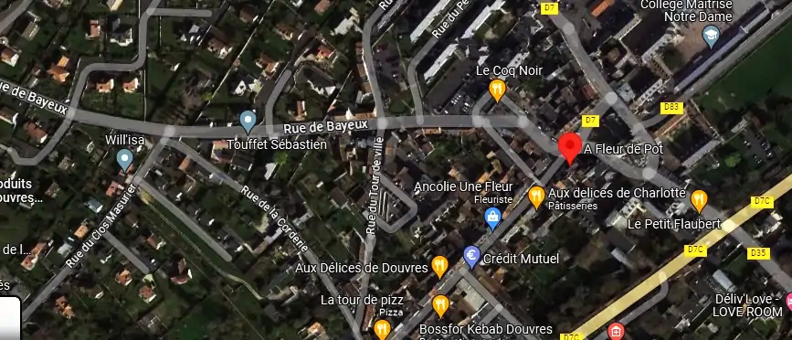 Livraison fleurs à Douvres-la-Délivrande
