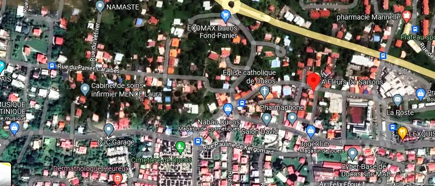 Livraison fleurs à 1 Rue Joseph Lagrosillière, Ducos 97224, Martinique