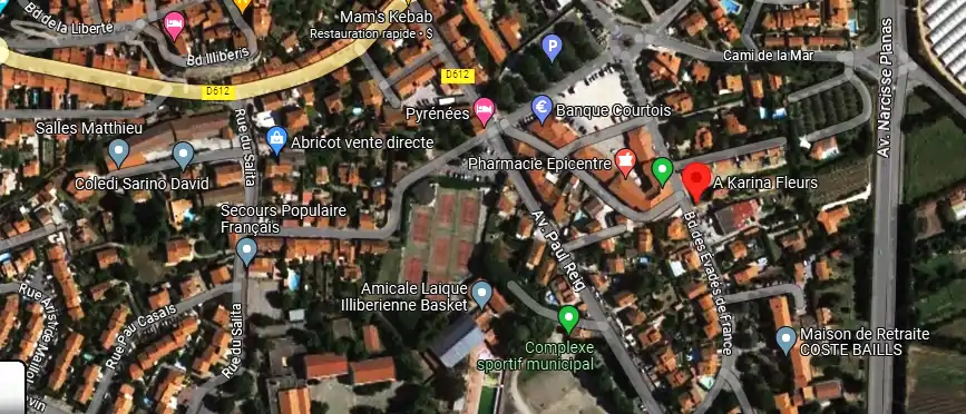 Livraison fleurs à Elne