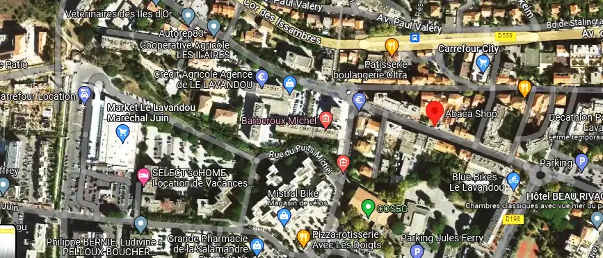 Livraison fleurs à Le Lavandou