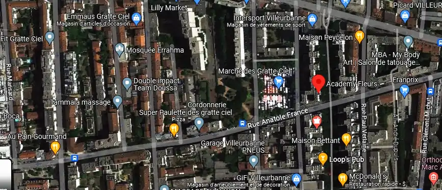 Livraison fleurs à Villeurbanne