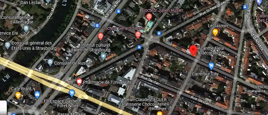 Livraison fleurs à Strasbourg