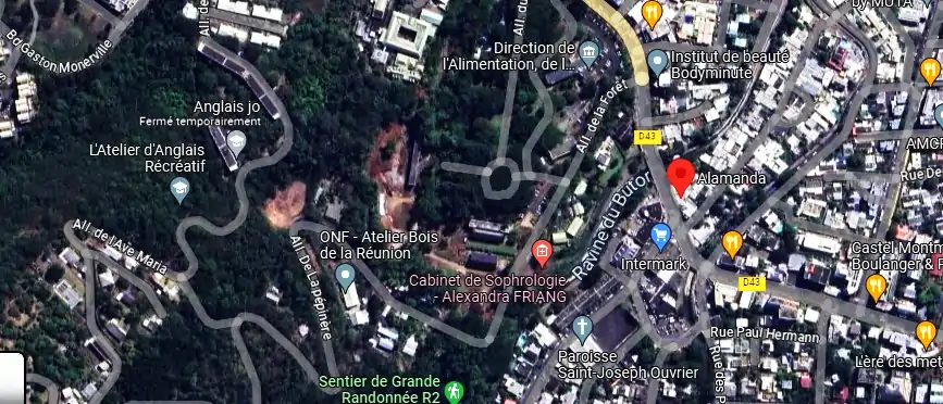 Livraison fleurs à 65 Bd de la Providence, Saint-Denis 97400, La Réunion