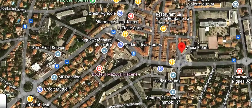 Livraison fleurs à La Valette-du-Var