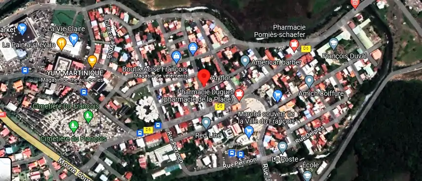 Livraison fleurs à 23 Rue Lubin, Le François 97240, Martinique