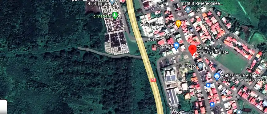 Livraison fleurs à 55 Rue Victor Schoelcher, Rivière-Salée 97215, Martinique