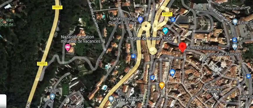 Livraison fleurs à Grasse