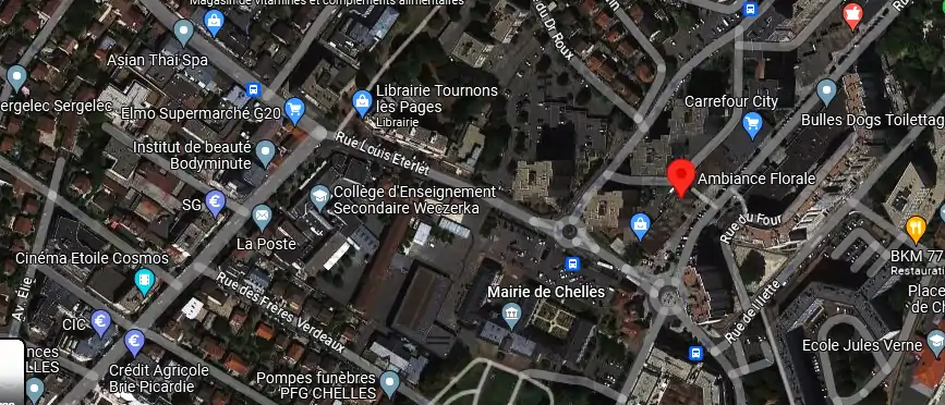 Livraison fleurs à Chelles