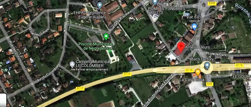 Livraison fleurs à Nègrepelisse