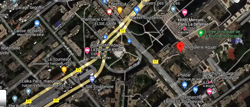 Livraison fleurs à Courbevoie