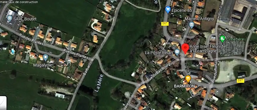 Livraison fleurs à Antigny