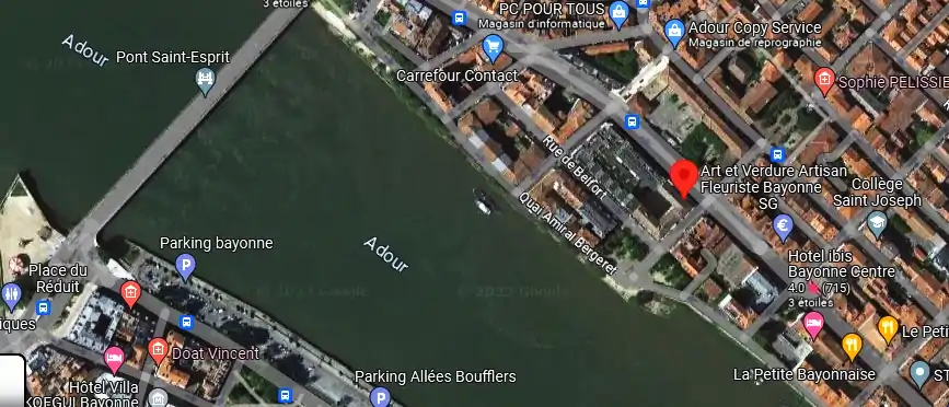 Livraison fleurs à Bayonne