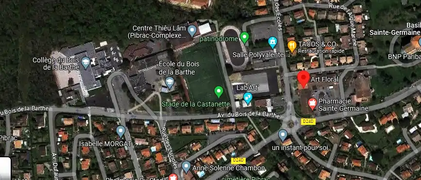 Livraison fleurs à Pibrac