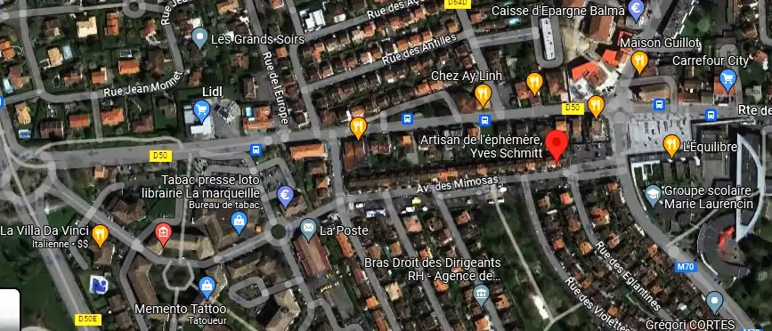 Livraison fleurs à Balma