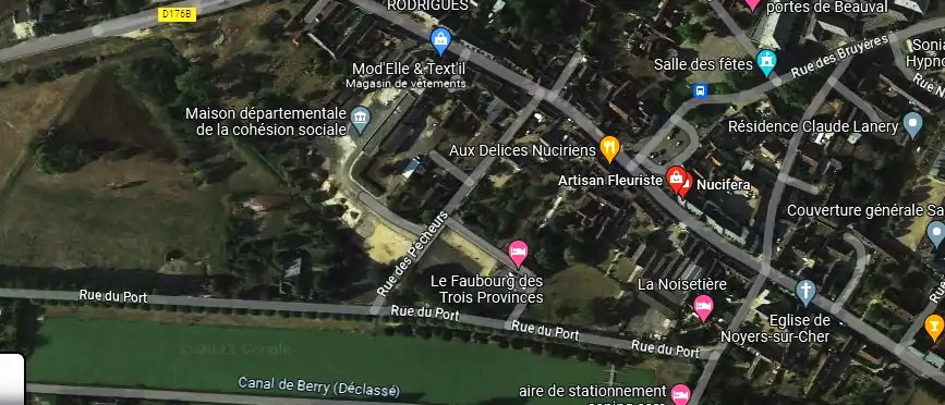 Livraison fleurs à 41140 Noyers-sur-Cher