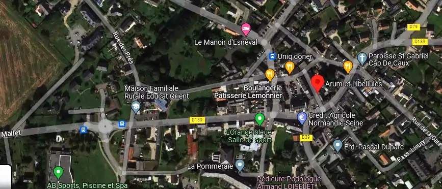 Livraison fleurs à Criquetot-l'Esneval