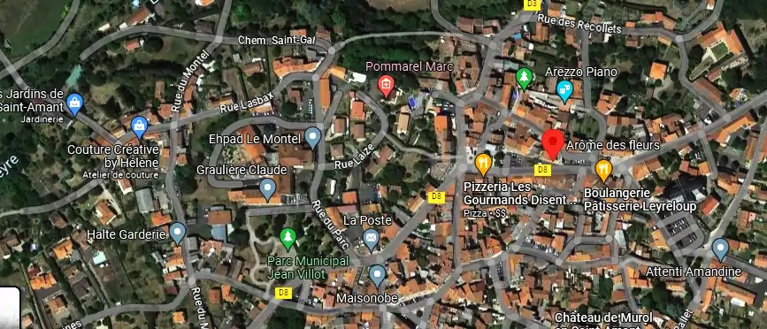 Livraison fleurs à Saint-Amant-Tallende