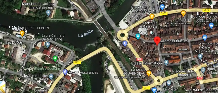 Livraison fleurs à Louhans