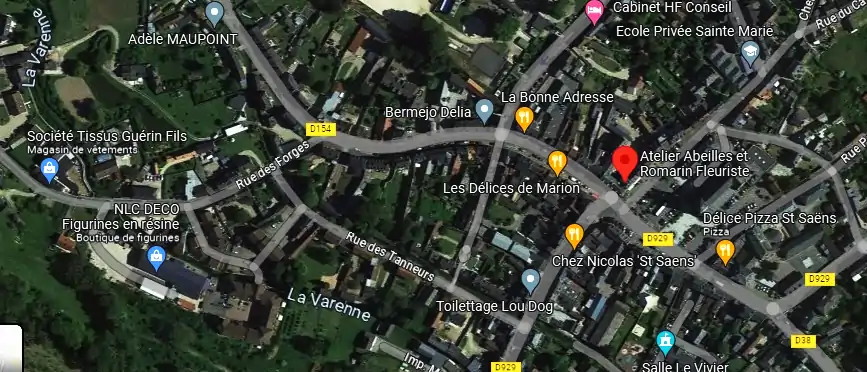Livraison fleurs à Saint-Saëns