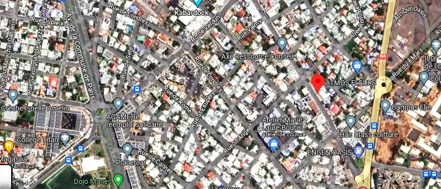 Livraison fleurs à 79 Rue du Général de Gaulle, Port (Le 97420, La Réunion