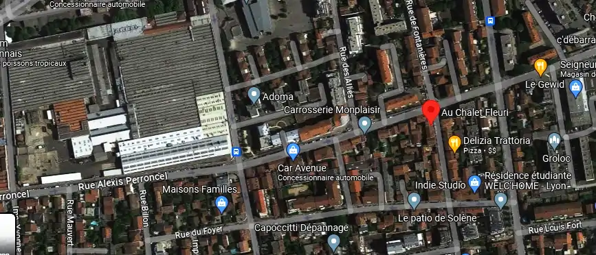 Livraison fleurs à Villeurbanne