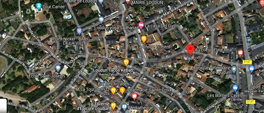 Livraison fleurs à Loudun
