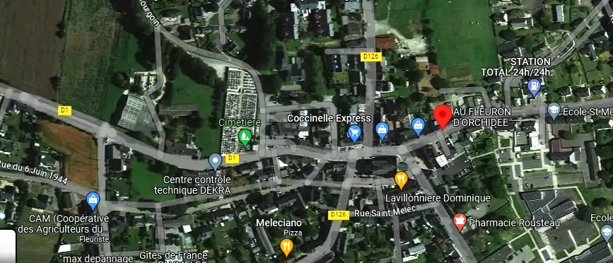 Livraison fleurs à Plumelec