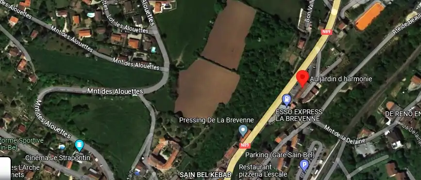 Livraison fleurs à Sain-Bel