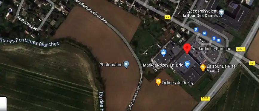 Livraison fleurs à Rozay-en-Brie