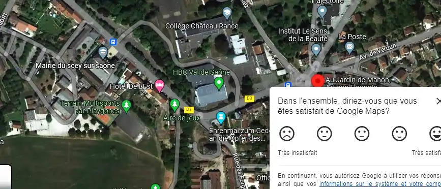 Livraison fleurs à Scey-sur-Saône-et-Saint-Albin