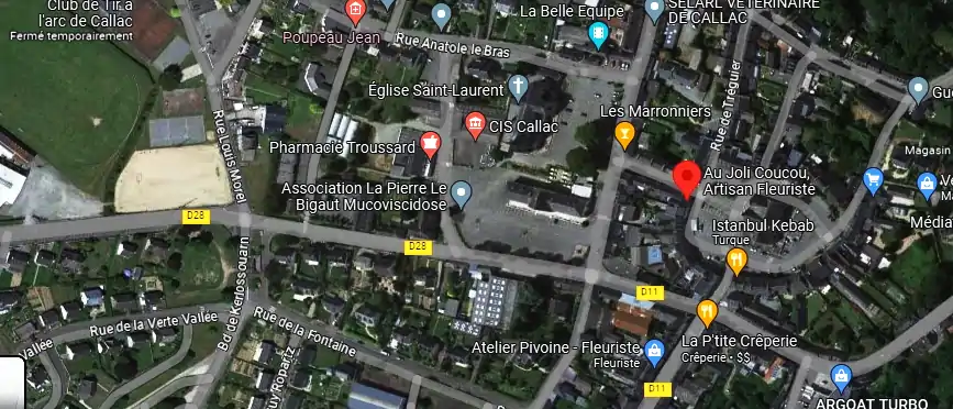 Livraison fleurs à Callac