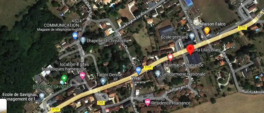 Livraison fleurs à Savignac-les-Églises