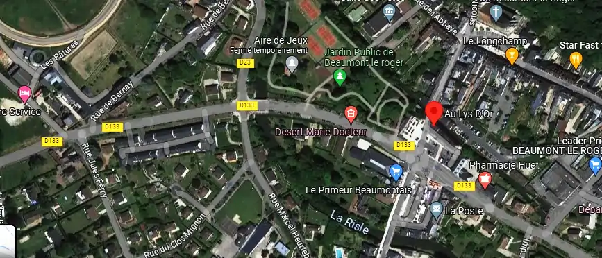 Livraison fleurs à Beaumont-le-Roger