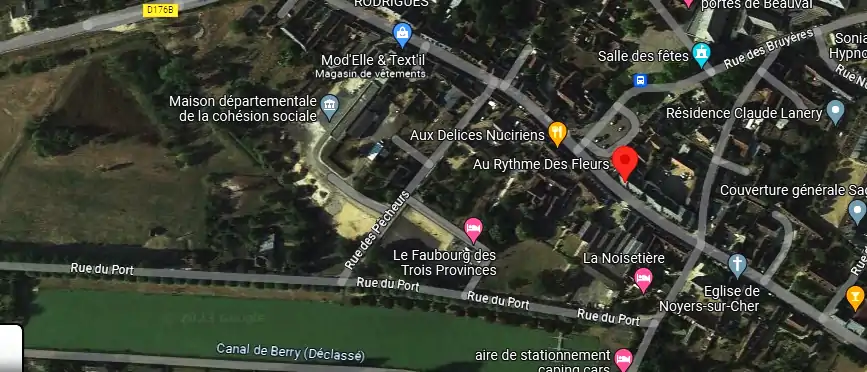 Livraison fleurs à Noyers-sur-Cher