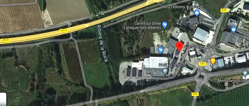 Livraison fleurs à Laroque-des-Albères