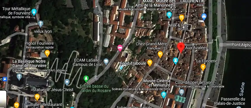 Livraison fleurs à Lyon