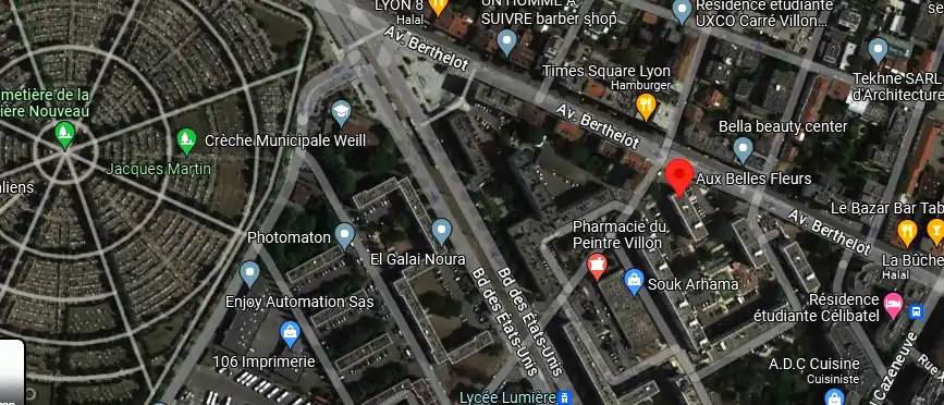 Livraison fleurs à Lyon